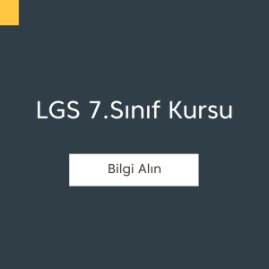 LGS 7. Sınıf